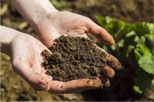 农产品有机肥市场乱象揭秘：如何辨别真假有机肥？